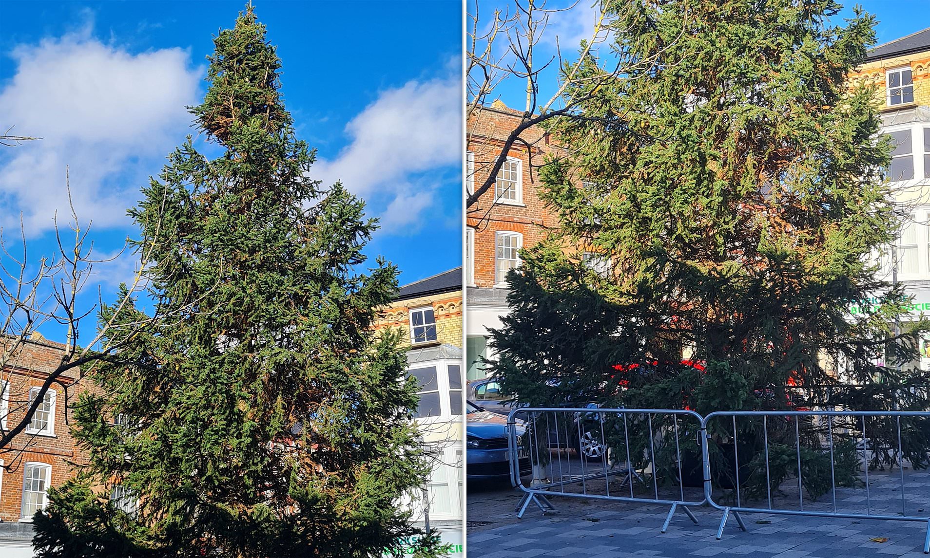 Residents protest ‘droopy and browning’ Christmas tree called a ‘Temu special’