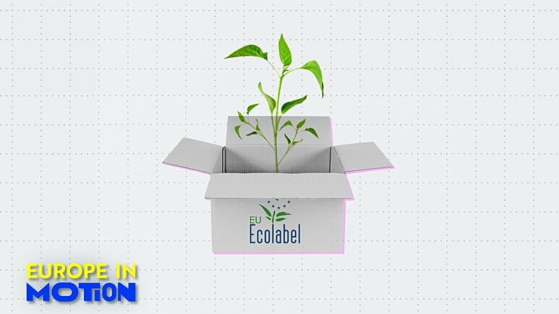 Ecolabels: Which EU Nations Lead in Sustainable Products?